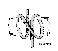 W�ze� wyblinkowy